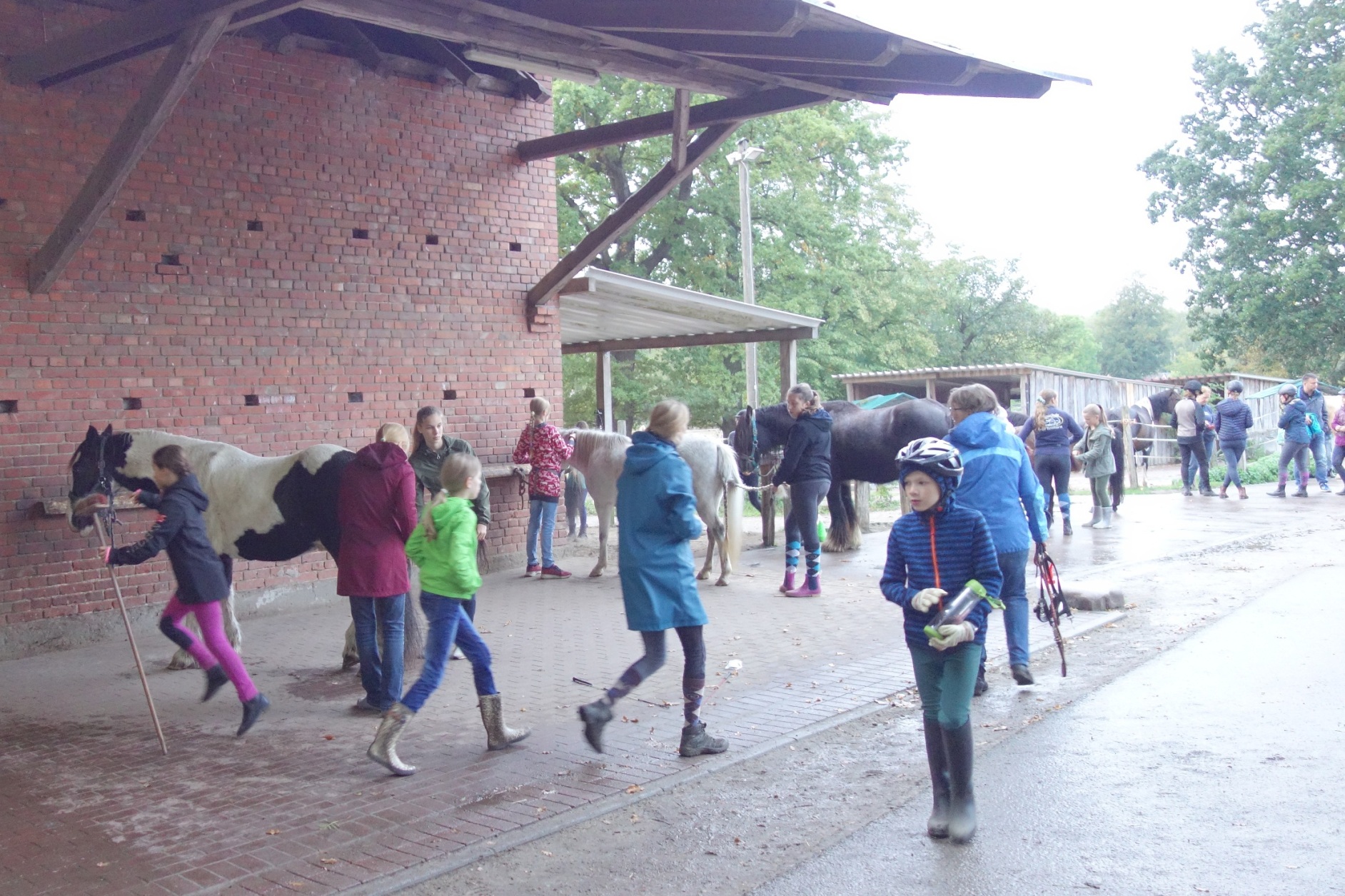 20190928 R002 HT Hofturnier