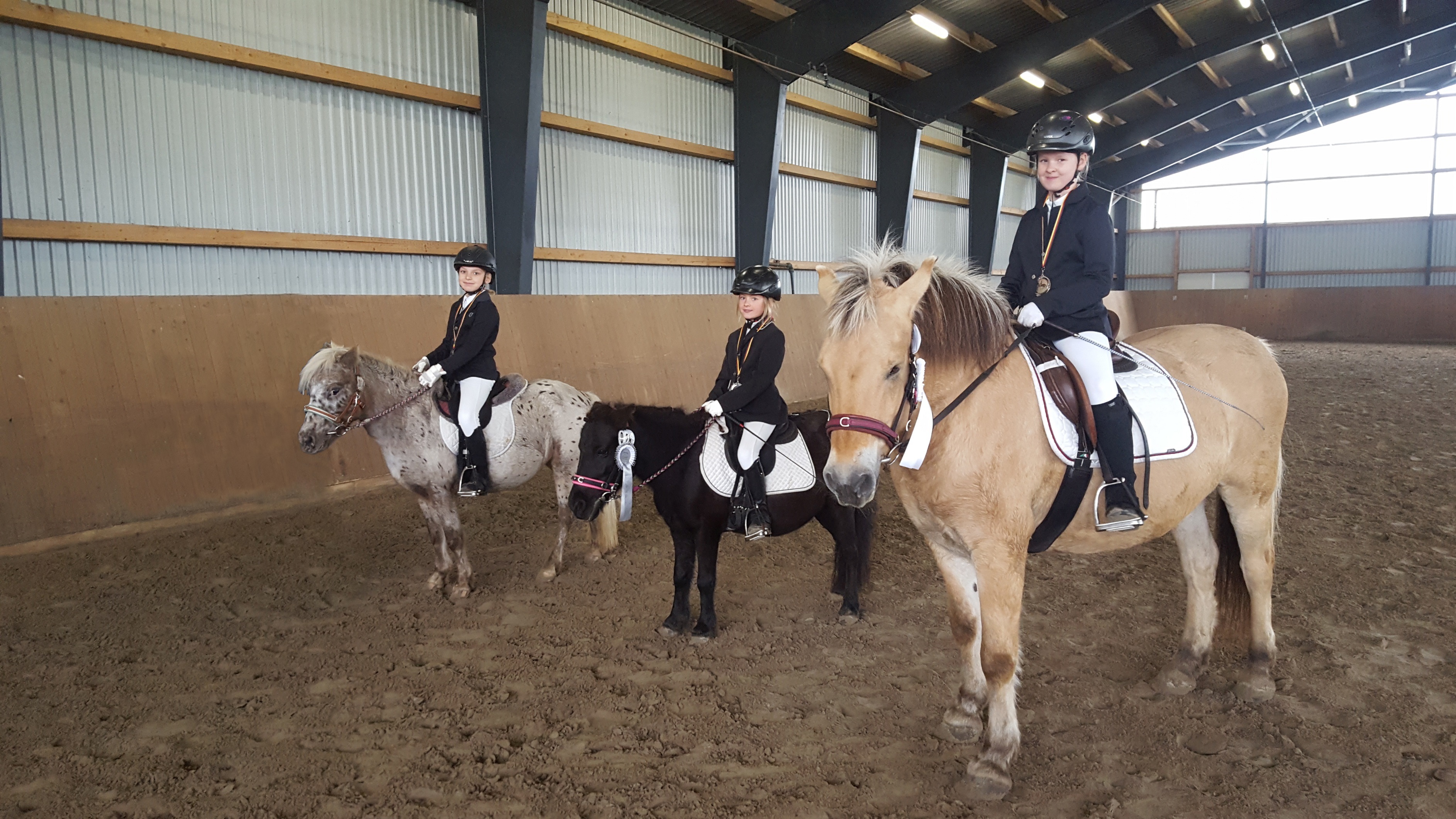 20190929 115447 HT Reiterwettbewerb 83 84