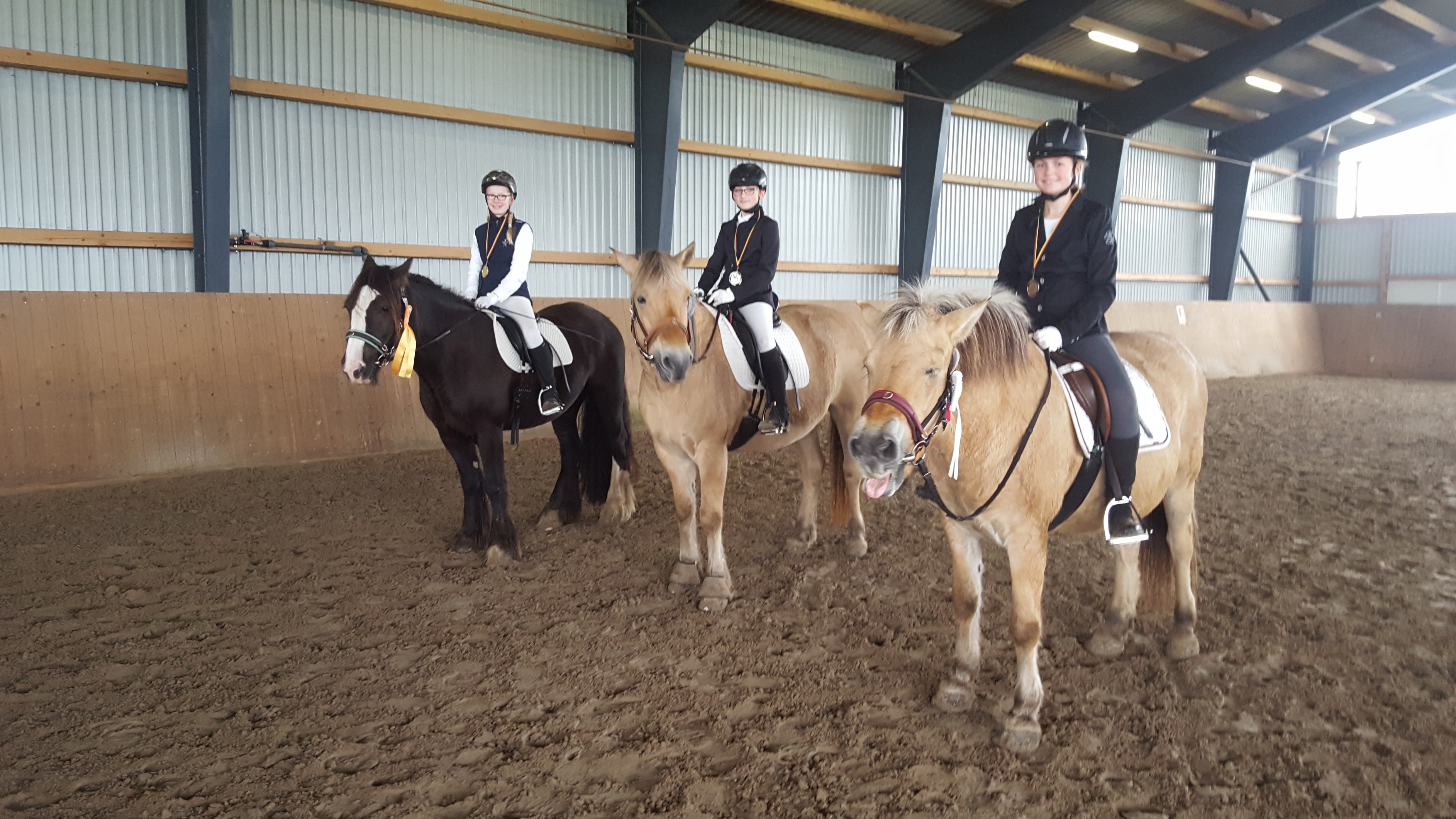 20190929 124420 HT Reiterwettbewerb 4