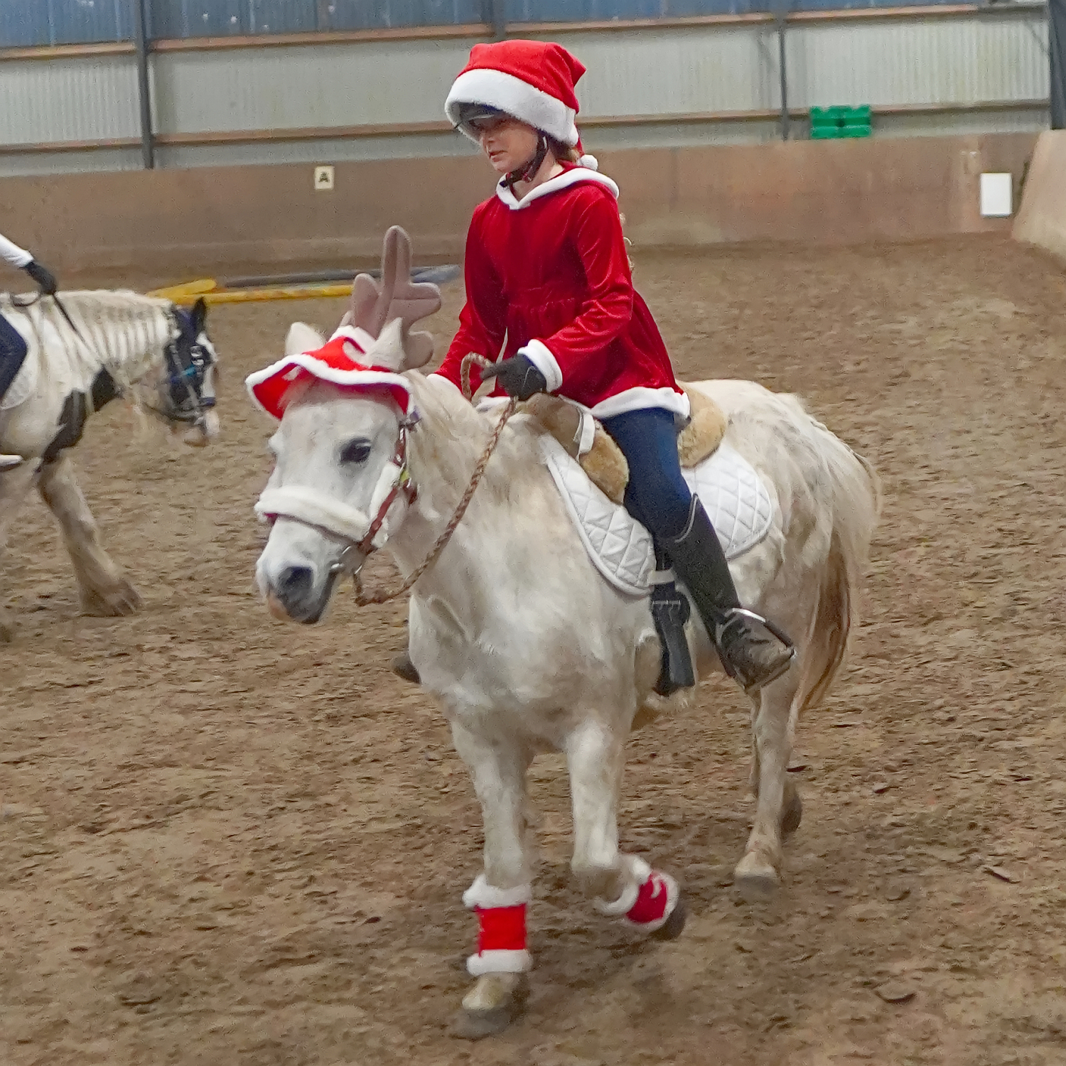 20241030 A003a DSC09110 HT Hofturnier