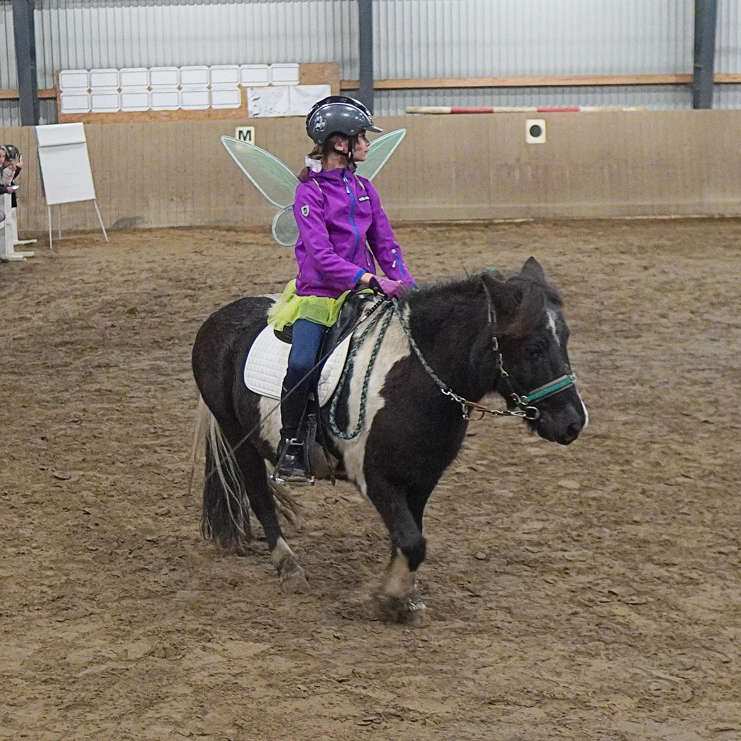 20241030 A011a DSC09119 HT Hofturnier