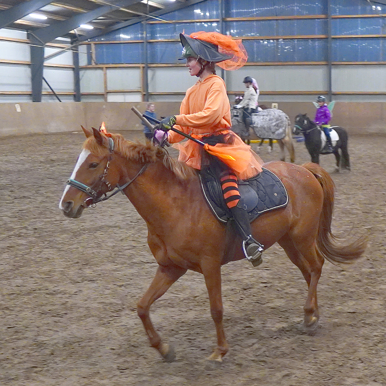 20241030 A017a DSC09125 HT Hofturnier