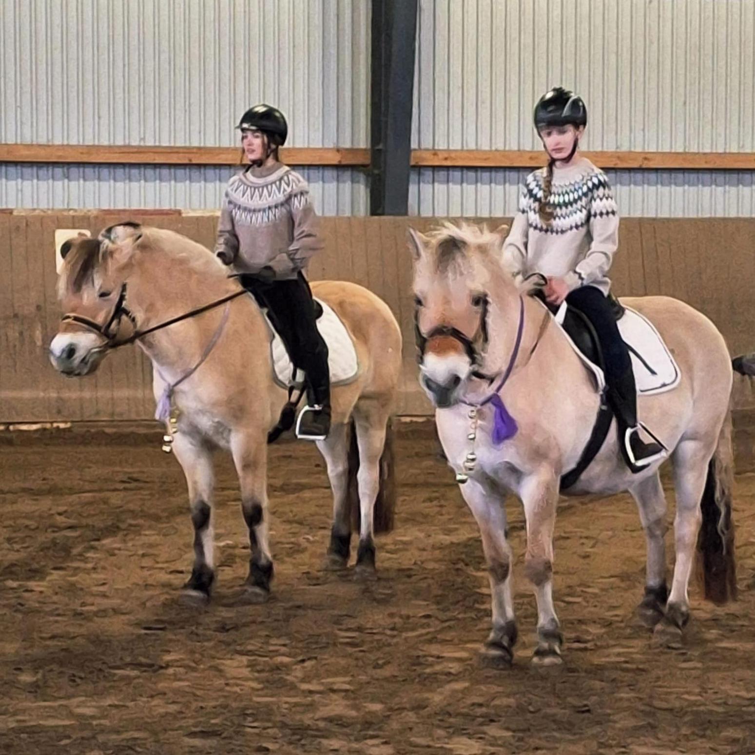 20251130 vonAnna001a HT Weihnachtsreiten pro U4p0n30K