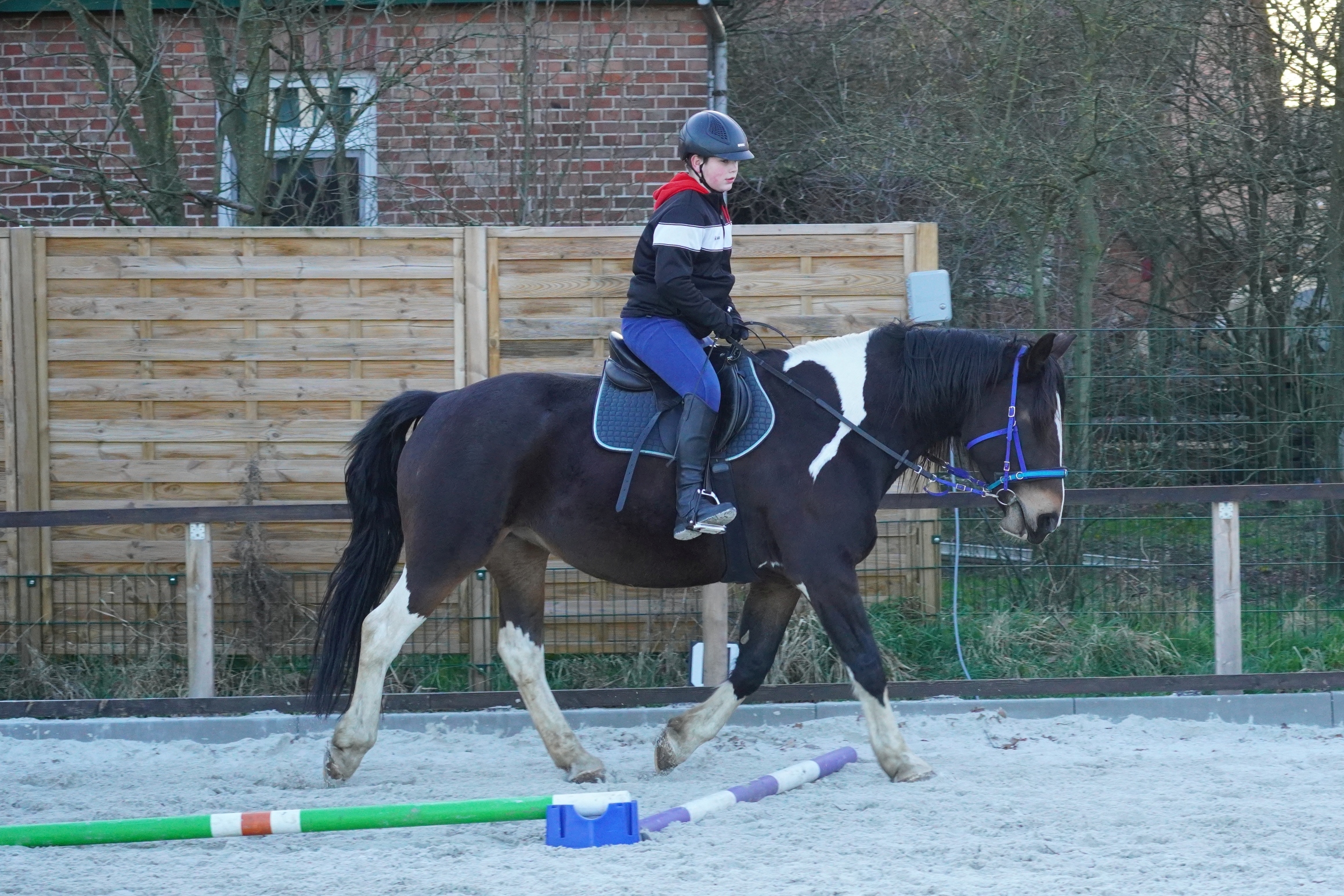 20220310 A205a HT Reitgruppe Do1700