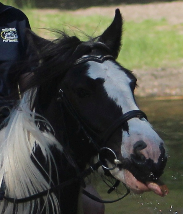 Lord: Gute Manieren bringt Lea ihm sicher noch bei!