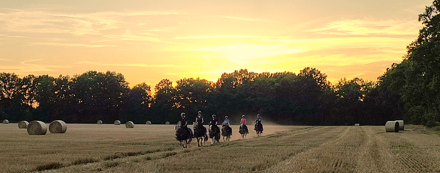 Ausritt über das Stoppelfeld