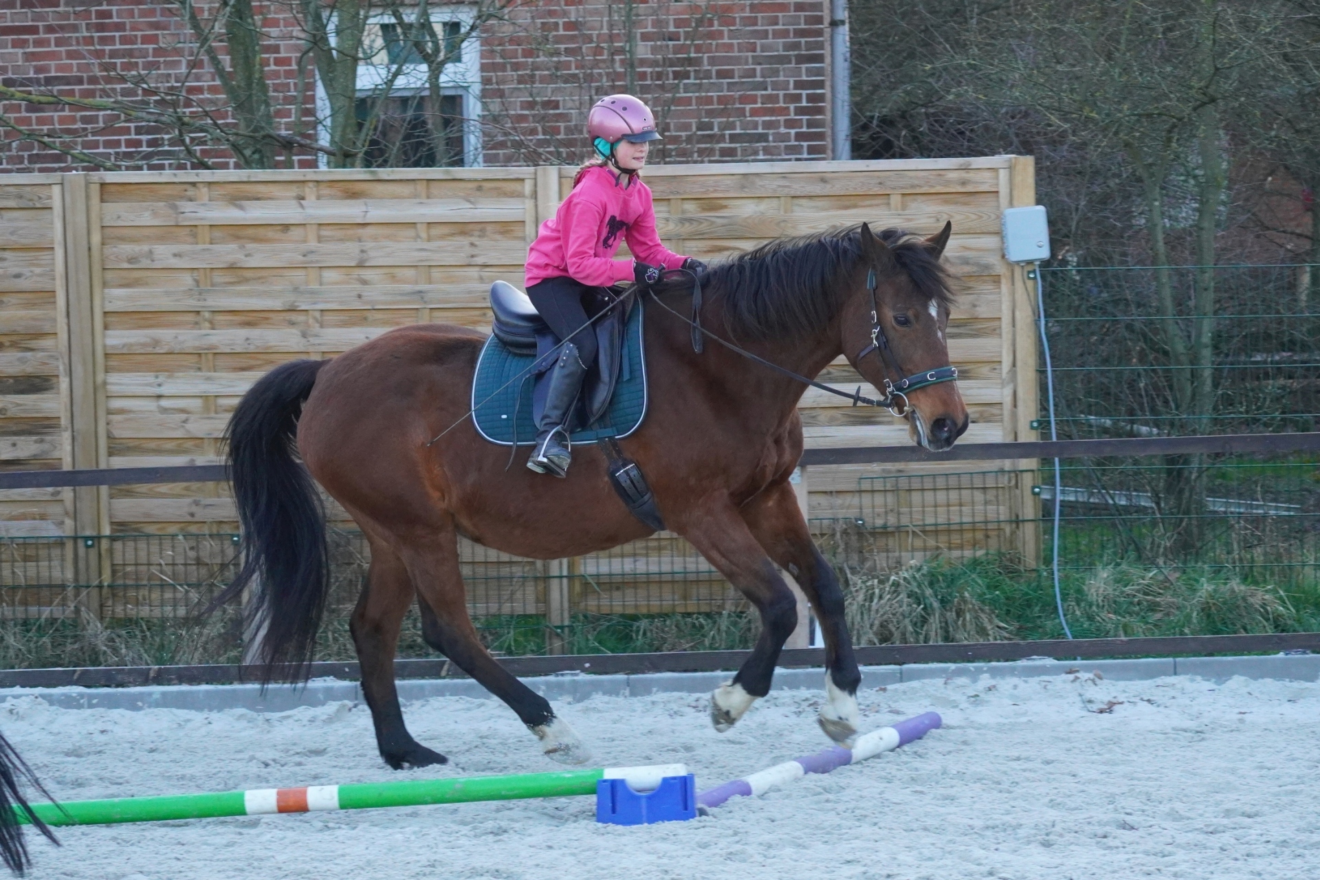 20220310 A179a HT Reitgruppe Do1700