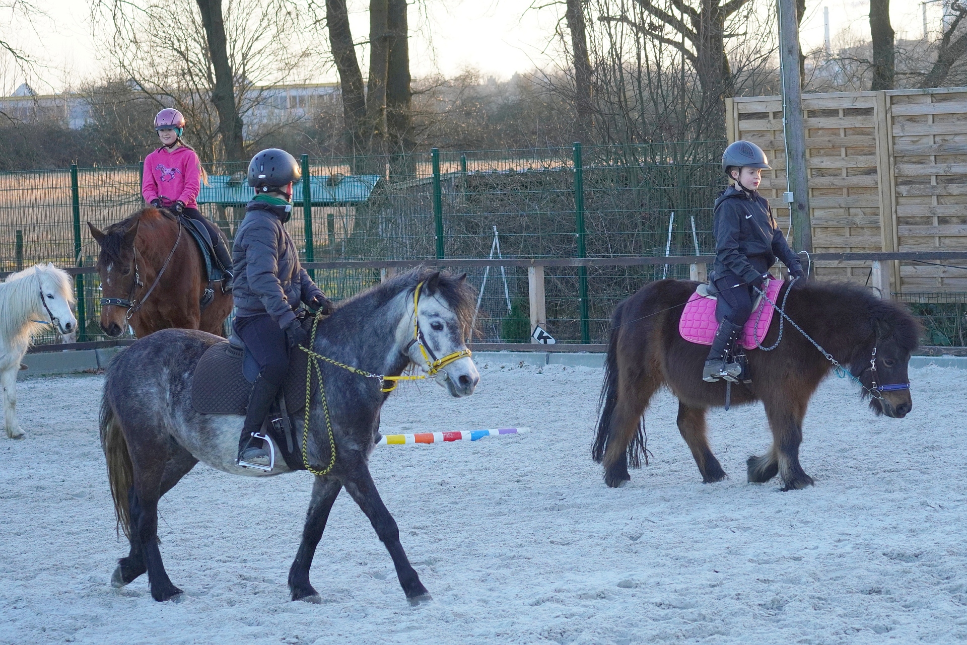 20220310 A223a HT Reitgruppe Do1700