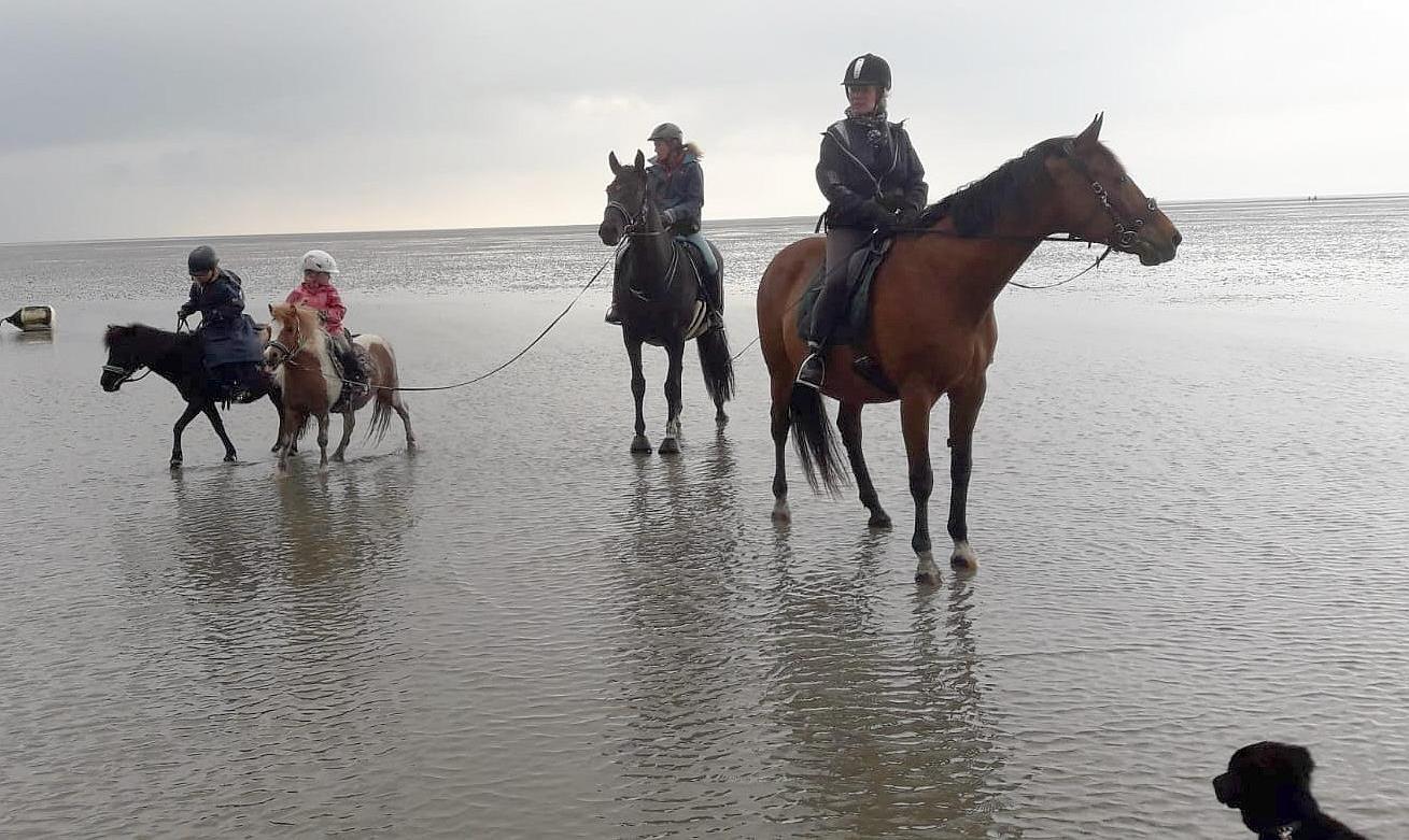 Wattritt Anna 2019 06 02