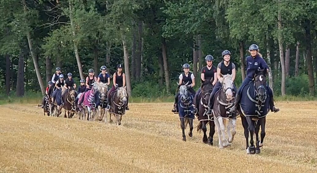 Wenn die Chefin nicht zu Hause ist HT