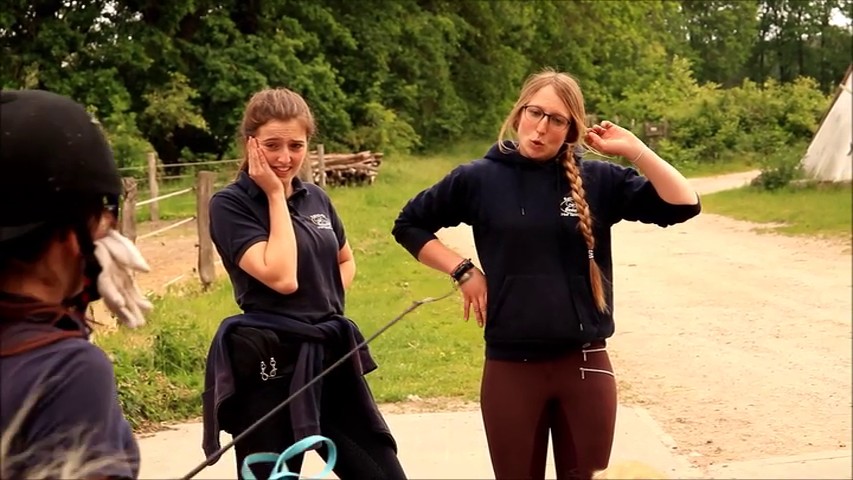 Wenn die Chefin nicht zu Hause ist HT